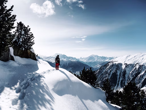 Reaching New Heights in Business Transformation